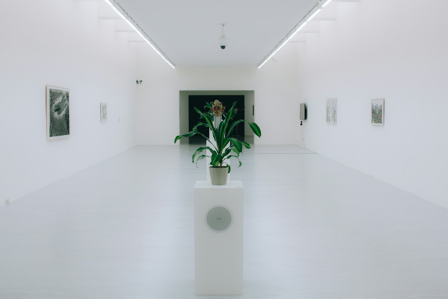 Corridoio di una galleria d'arte moderna con pianta in vaso e opere d'arte.